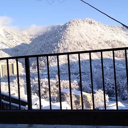 Tamara Daire Borjomi Dış mekan fotoğraf