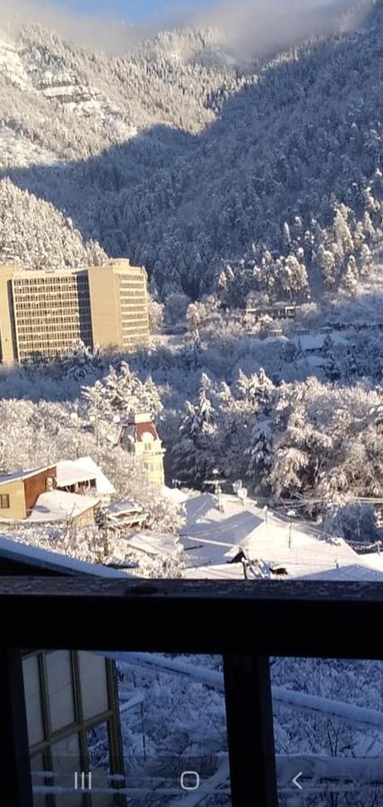 Tamara Daire Borjomi Dış mekan fotoğraf