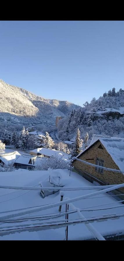 Tamara Daire Borjomi Dış mekan fotoğraf