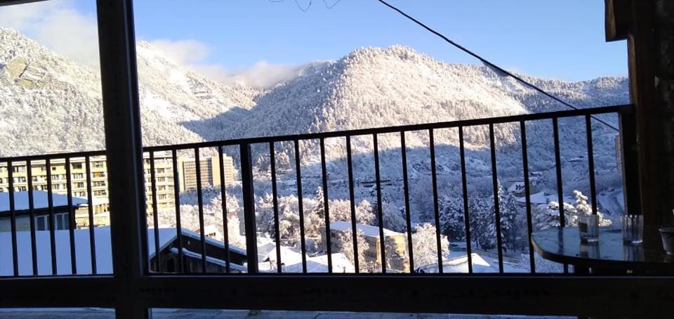 Tamara Daire Borjomi Dış mekan fotoğraf